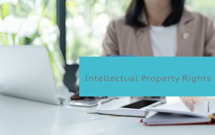 Entrepreneurs Guide to Understanding Intellectual Property Rights in 2024