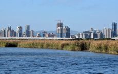 Article Image for Vernacular Design and Local Materials