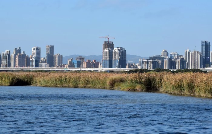 Article Image for Vernacular Design and Local Materials